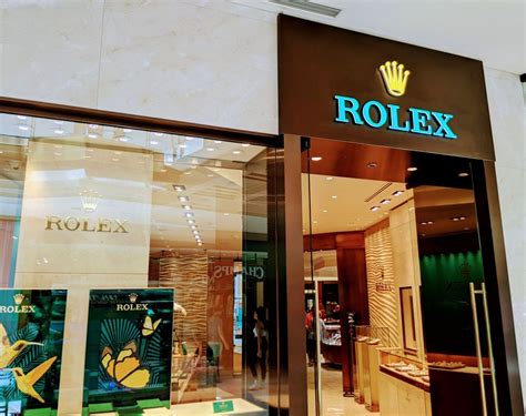 rolex jewelry tampa fl